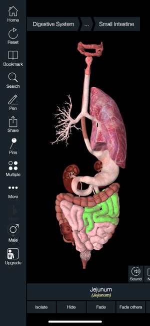 essential anatomy 5 mac free download