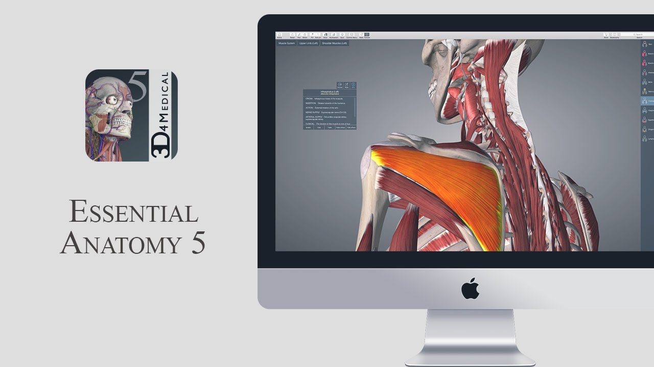download essential anatomy 5 free mac